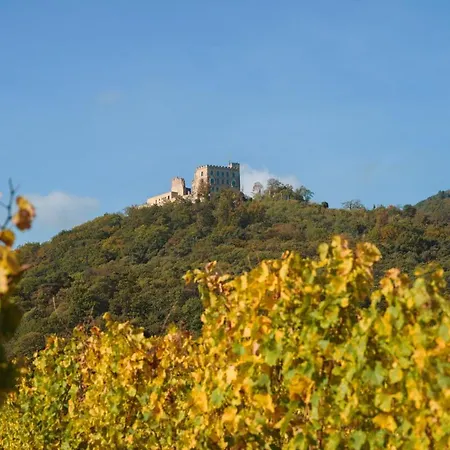Dom wakacyjny Weinhaeusel Neustadt an der Weinstraße